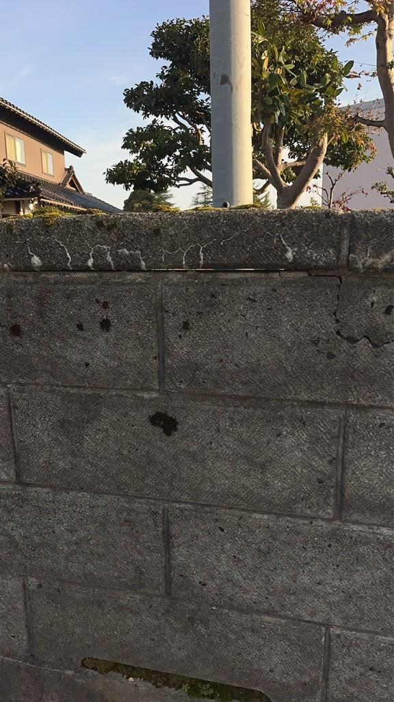 施工前のブロック塀